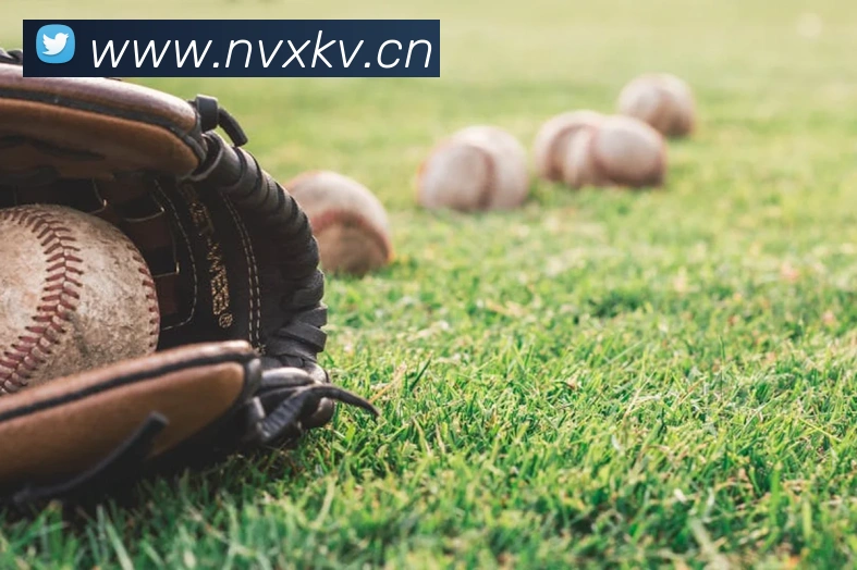 米兰app体育网页版发展历程